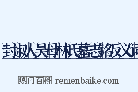 封淑人吴母林氏墓志铭反义词是什么意思的图片